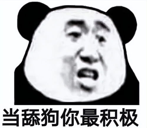 绿茶与备胎之间的顶级拉扯,处了固定队侠侣依旧吊着备胎