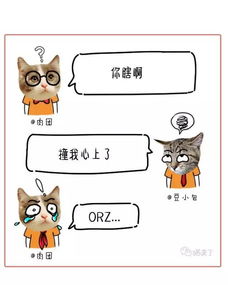 成熟的猫从不将情绪写在脸上,他们都有自己的表情包