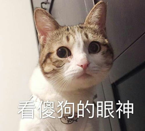 最尴尬的事