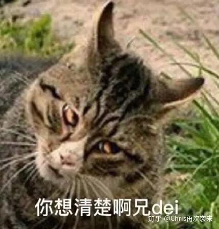 自己做的游戏会玩的很厉害吗