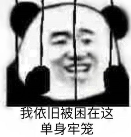 最近小熊猫表情包火了,鬼马少女聊天必备,网友是秀儿