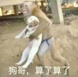 表情包只能用来斗图你可能还不太了解它的真谛