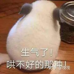 你在闲鱼上遇到过最恶心的卖家是什么样的