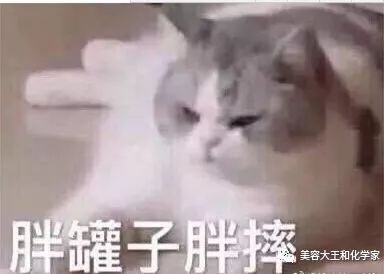 搞笑打招呼表情包在干嘛
