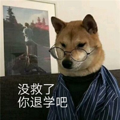 表情包想吃,怕胖