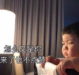 看书套路男朋友的表情包倪妮