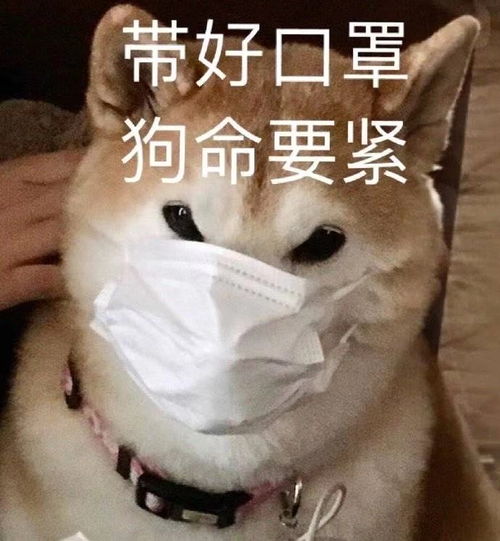 目瞪口呆表情包懒羊羊狗头