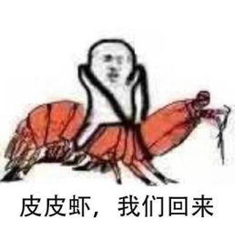 龙女士表情包什么梗养殖