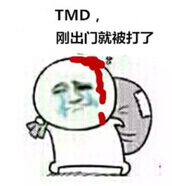 啊进进去了的表情包夜宵