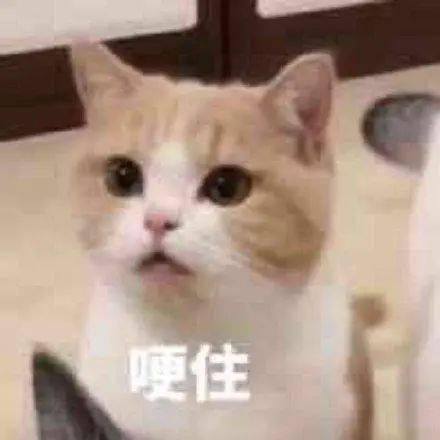 笑死450㎡江景房装修只花4500,今年最潮叙利亚风,就问你服不服
