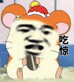 养生馆销售冠军自述我是如何骗老人买保健品的