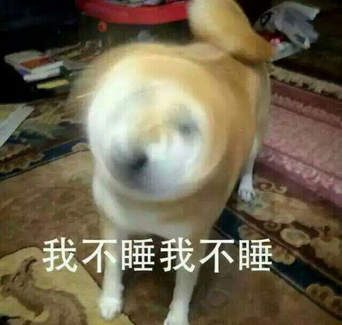 有没有关于睡觉熬夜表情包呀