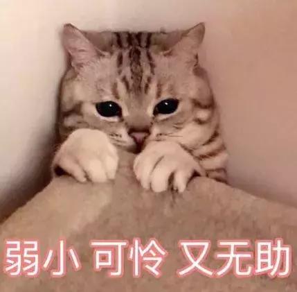 拿什么拯救你,我的双十二