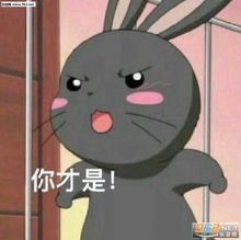 超级萌表情包情侣游戏