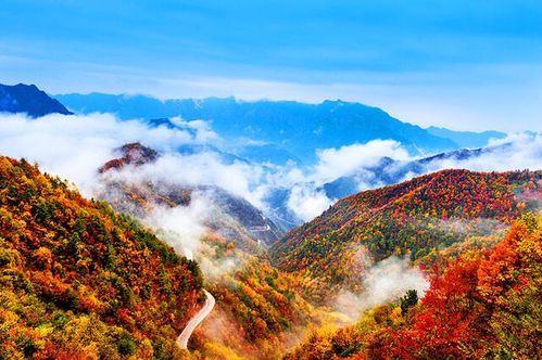 重庆最偏僻的县,人口在逐年下降现已不足19万,是你的故乡吗