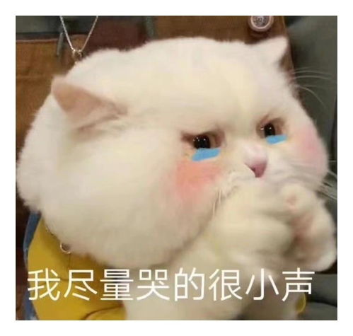 表情包一组有趣的表情包48期