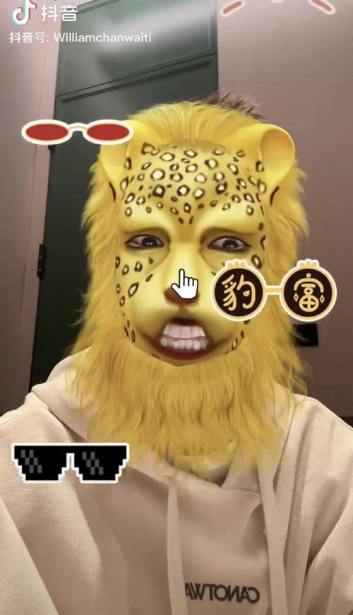热梗百科金钱豹是什么梗