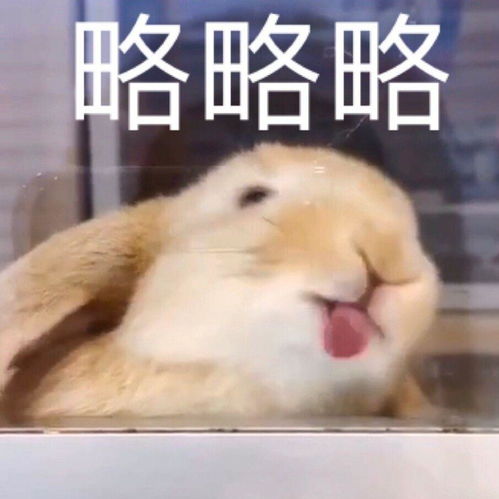 有哪些一发出去就能镇住朋友圈的沙雕文案