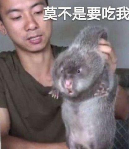 最奇葩吉尼斯外国男子1秒把自己变成竹鼠,网友我看饿了