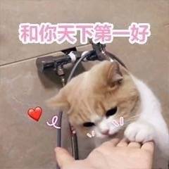 求租古墩路城西银泰整租房