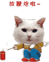 求小猫拜年动态图