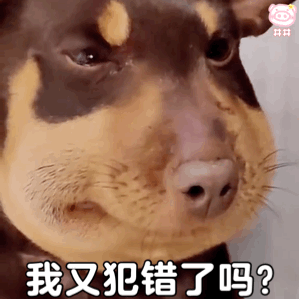 最好看的狗狗表情包蜜蜂
