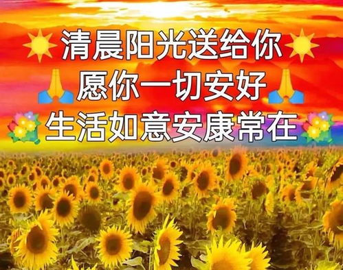 2021年11月17日上午好表情包动图,问候祝福语