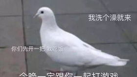 20191205新五限复刻对比五限细节,送全套外观童话话直播录屏