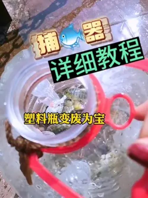 教你用一个矿泉水瓶自制一个捕鱼神器变废为宝手工不要的瓶子还能这样捕鱼器