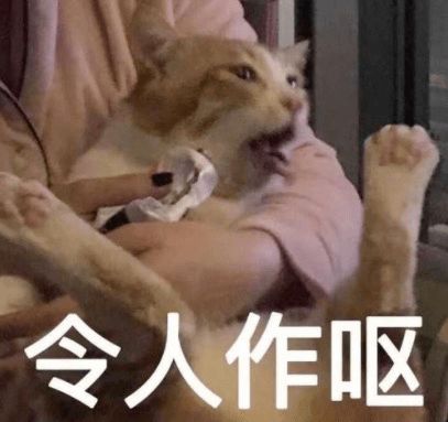 e句话看天下丨成都女孩交代行程,不是为了让人网暴