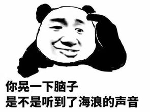 湘琴鬼脸表情包松子
