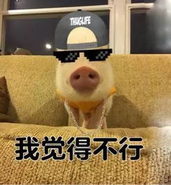 我觉得ok该如何用英文表达