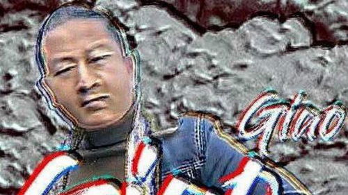 快手动态表情包视频五花大绑