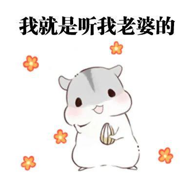 小长假快到了来get这对好情侣的五一出行选择