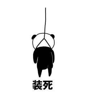 这场二级考试,我可是把所有运气都压上了