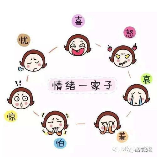 别让情绪成为你的生活导演