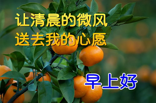 早上好表情包早安祝福问候语人生感悟经典语录