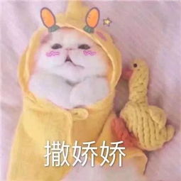 熊猫邀你一起爱99公益日活动等你来