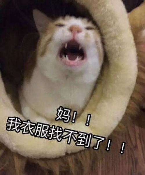 你就站在此地不要走动,我偷一个暑假给你
