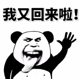 群聊斗图表情包皮甲