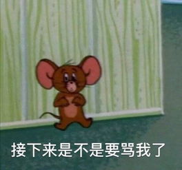 猫和老鼠表情包合集怎么肥事小老弟