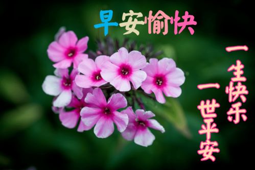 2021最新早上好祝福语大全,早上好问候语句子