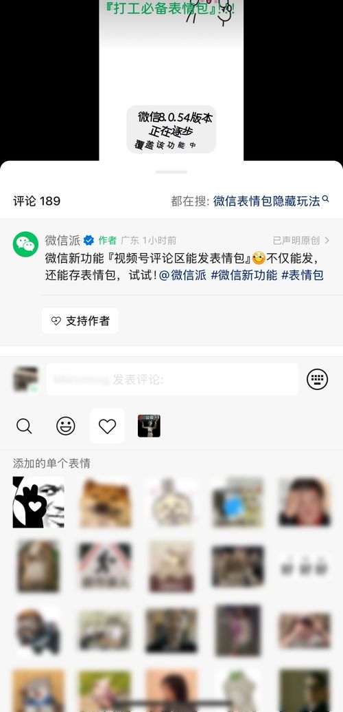 微信上线新功能网友多年珍藏能用上了