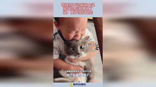 萌娃抱不动猫咪大哭,猫咪见后表情绝了,猫要不我自己走