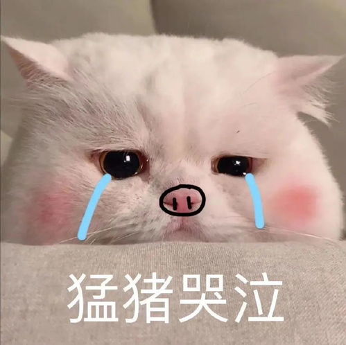 有什么让人眼前一亮的文案