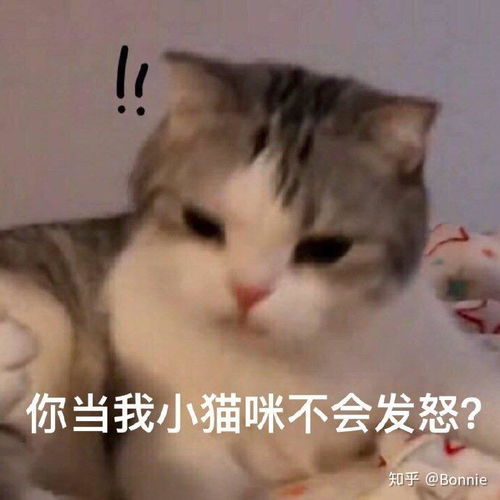 女生如何让自己的力气变大