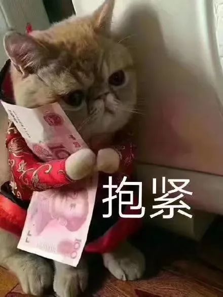 表情包你表情包太多,不想和你聊了