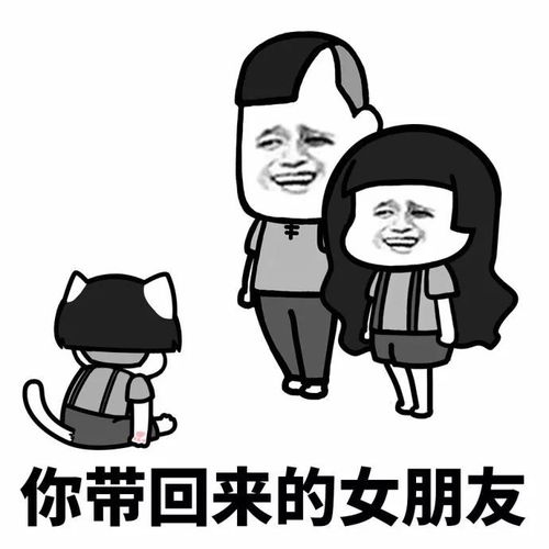 论幸福,女人是比不过猫的