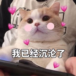 opporeno很能打,不仅好看,更好用