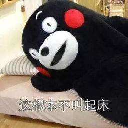 全国起床困难户地图出炉合肥网友表示excuseme